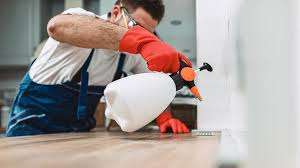 Best Pest Prevention Services  in Wanakah, NY